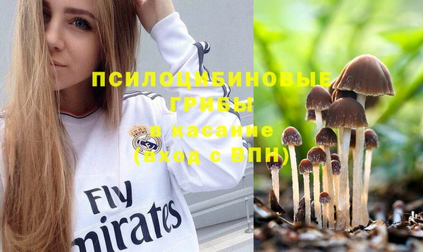 прущий лед Михайловск