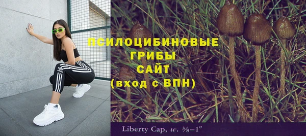 кристаллы Алексин