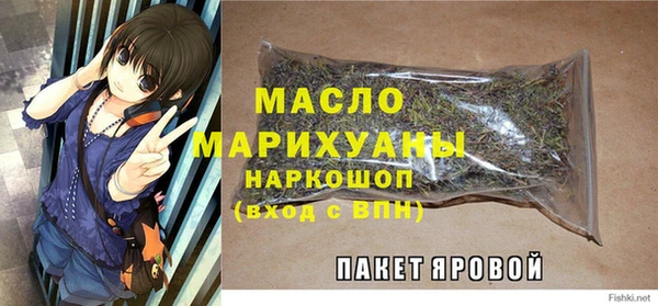 гашик Михайловка