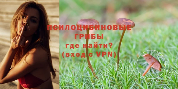 дурь Михайлов