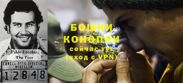 гашик Михайловка