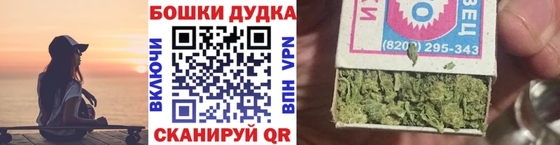 shop наркотические препараты продажа наркотиков Кисловодск Конопля семена